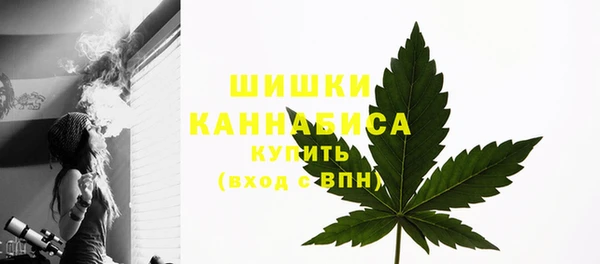 2c-b Богородицк