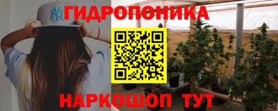 гашик Аргун