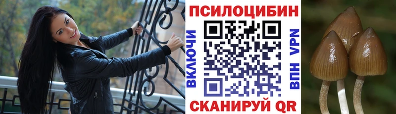 Псилоцибиновые грибы GOLDEN TEACHER Купить Борисоглебск