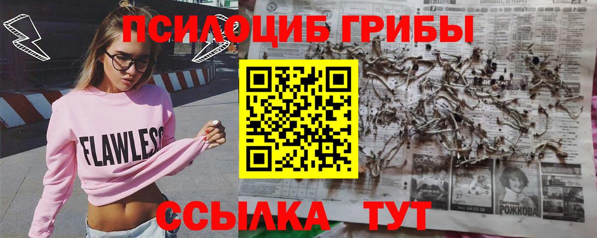 Псилоцибиновые грибы мухоморы Борисоглебск