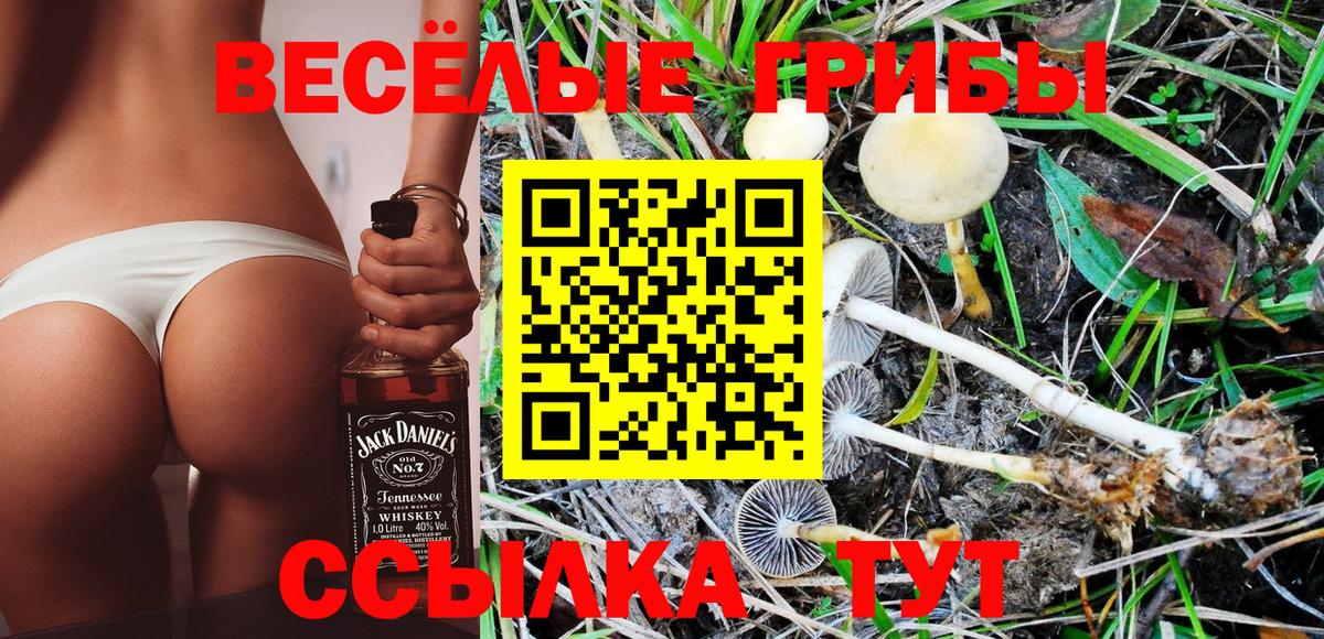 Борисоглебск  Галлюциногенные грибы Cubensis  Вход с VPN 