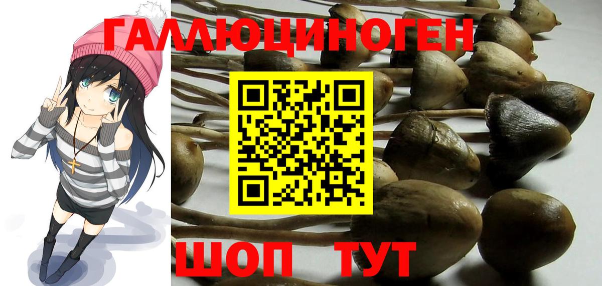 Псилоцибиновые грибы GOLDEN TEACHER Борисоглебск